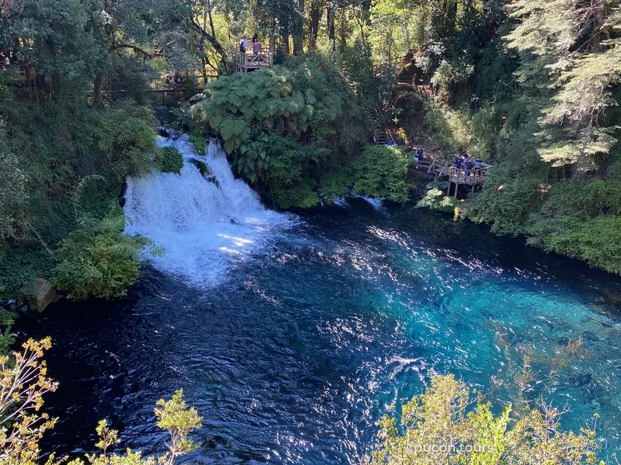 Cascada de agua turquesa en los Ojos del Caburgua, entre bosque nativo