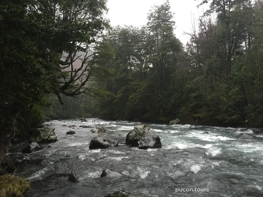 Río Palguín crecido entre bosque nativo en un día lluvioso de invierno, en Pucón