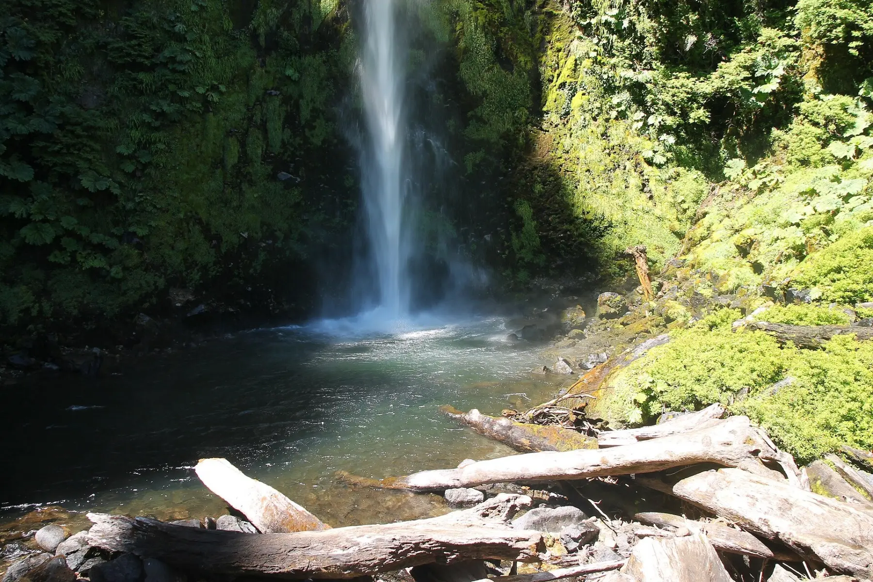 Salto La China cayendo a una poza rodeada de bosque