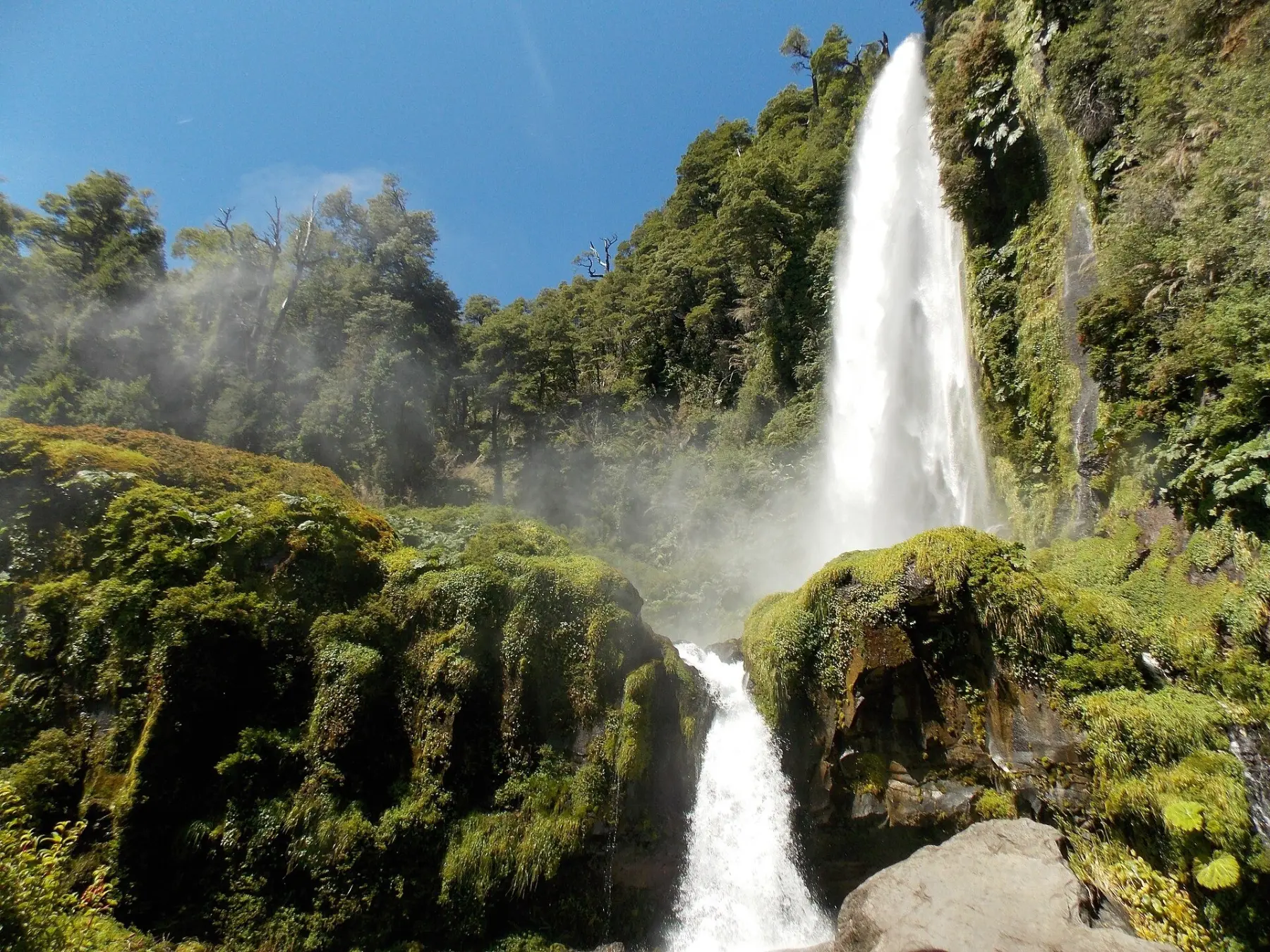 Salto El León, una caída alta entre rocas con musgo